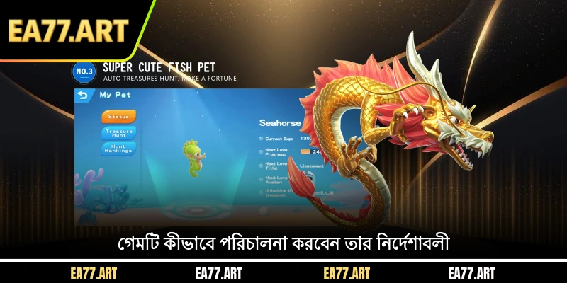 গেমটি কীভাবে পরিচালনা করবেন তার নির্দেশাবলী