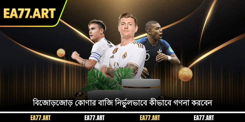 বিজোড়-জোড় কোণার বাজি নির্ভুলভাবে কীভাবে গণনা করবেন