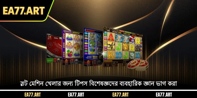 স্লট মেশিন খেলার জন্য টিপস- বিশেষজ্ঞদের ব্যবহারিক জ্ঞান ভাগ করা